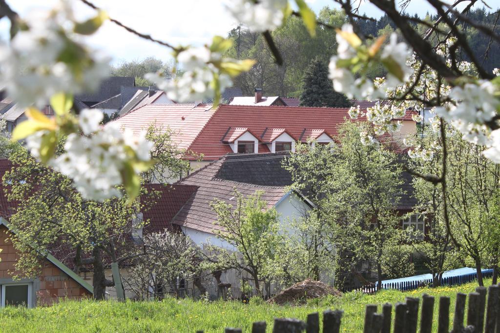 Vlasenice Penzion U Rudolfu מראה חיצוני תמונה